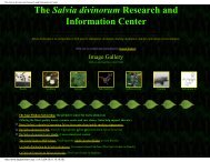 The Salvia divinorum Research and Information Center - Shroomery