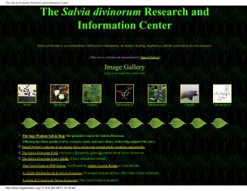 The Salvia divinorum Research and Information Center - Shroomery