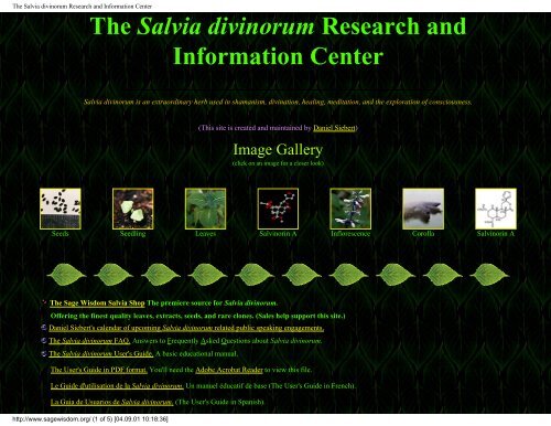 The Salvia Divinorum Research And Information Center Shroomery