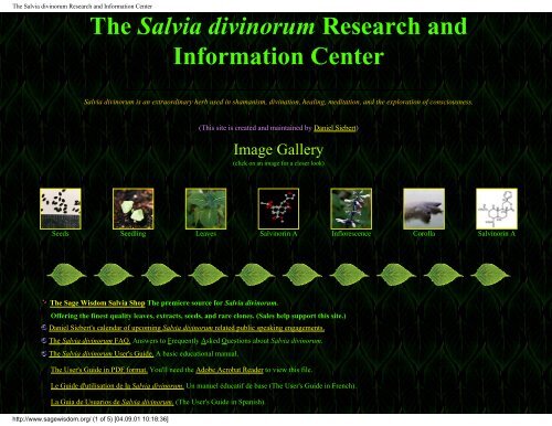 https://img.yumpu.com/15263841/1/500x640/the-salvia-divinorum-research-and-information-center-shroomery.jpg