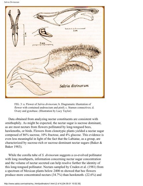 The Salvia divinorum Research and Information Center - Shroomery