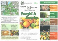 programma - Comune di Vergiate