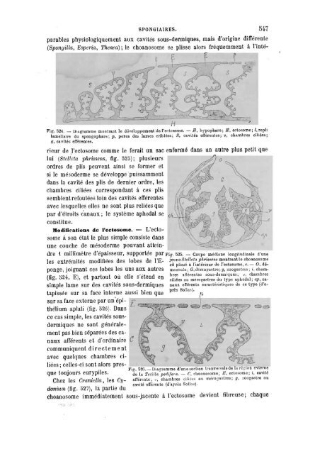 S-1382173-2_PERRIER_Traite_1897.pdf