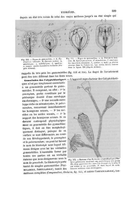 S-1382173-2_PERRIER_Traite_1897.pdf