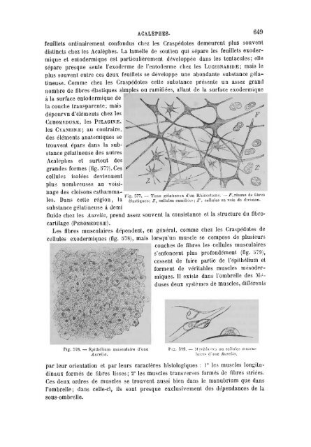 S-1382173-2_PERRIER_Traite_1897.pdf