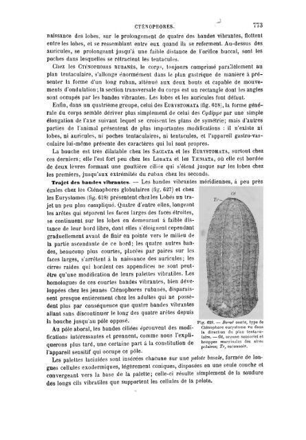 S-1382173-2_PERRIER_Traite_1897.pdf