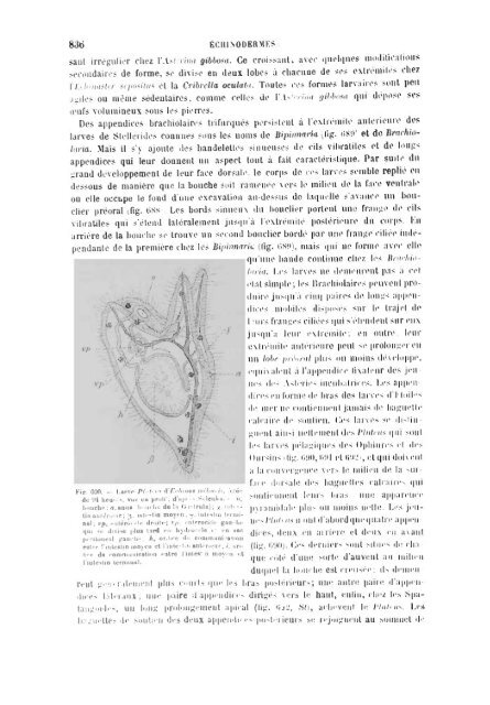 S-1382173-2_PERRIER_Traite_1897.pdf