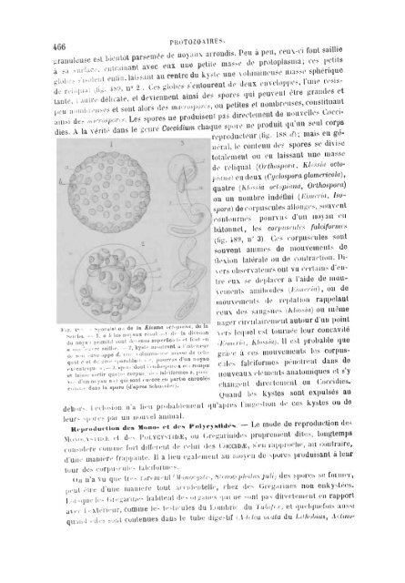 S-1382173-2_PERRIER_Traite_1897.pdf