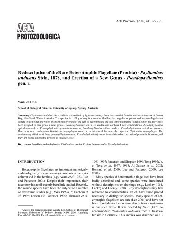Redescription of the Rare Heterotrophic Flagellate (Protista ...