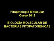 Fitopatología Molecular Curso 2012 BIOLOGÍA ... - FBMC