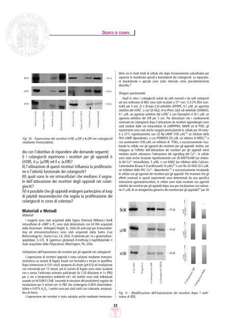 LETTERE 2006 03.pdf - Facoltà di Medicina e Chirurgia - Università ...