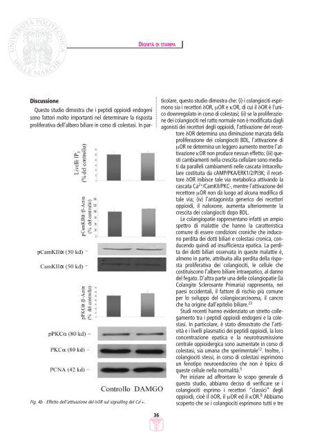 LETTERE 2006 03.pdf - Facoltà di Medicina e Chirurgia - Università ...