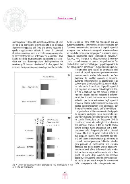 LETTERE 2006 03.pdf - Facoltà di Medicina e Chirurgia - Università ...