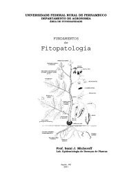 Apostila - Fitopatologia.pdf (2,1 MB) - Webnode