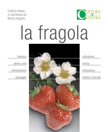 la fragola - Coltura & Cultura