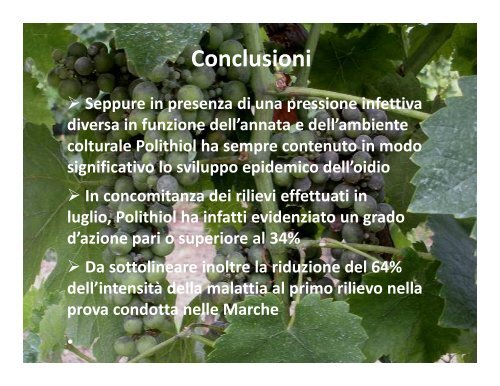 05 - Oidio della vite (F. Corvi) - Cerexagri