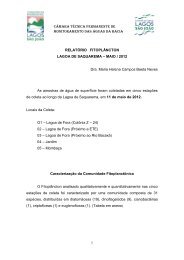 Relatório 13 - Maio 2012 - Lagos São João