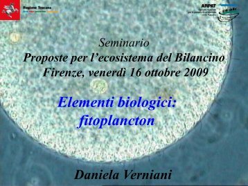 Elementi biologici: fitoplancton (Daniela Verniani) - Arpat