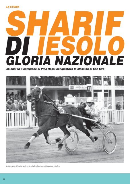 Luglio 2007 - Associazione Nazionale Allevatori del Cavallo Trottatore