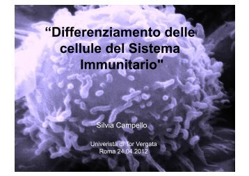 “Differenziamento delle cellule del Sistema Immunitario"