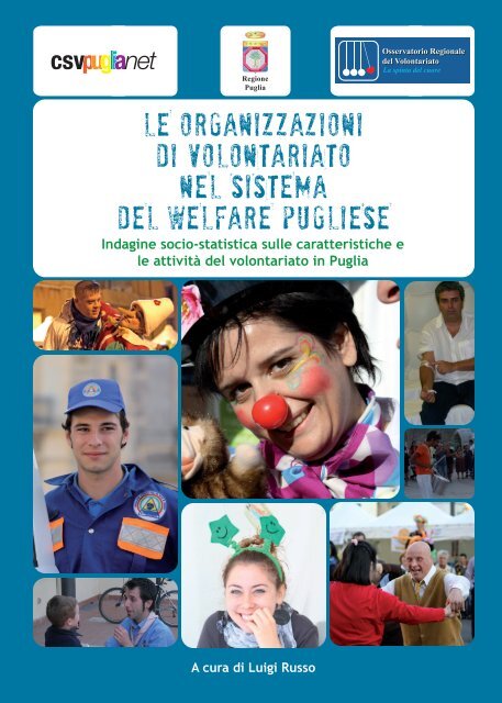 le organizzazioni di volontariato nel sistema del ... - Ce.Se.Vo.Ca.