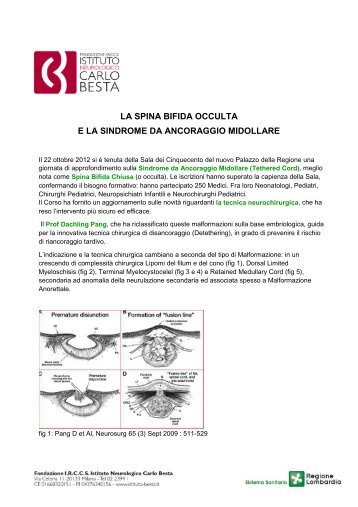 Spina bifida e sindrome da ancoraggio midollare - fondazione irccs ...