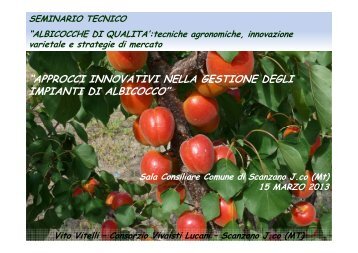 (Microsoft PowerPoint - VITELLI - presentazione vitelli.ppt [modalit ...