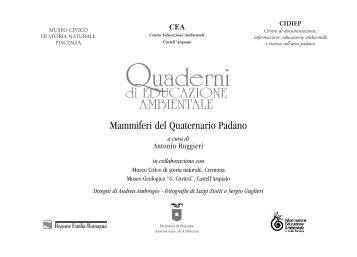 9.8 Quaderno Quaternario.pdf - Musei di Storia naturale - Piacenza