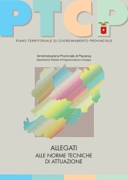 ALLEGATI - Provincia di Piacenza - Homepage