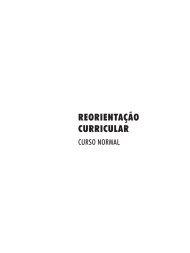 Livro IV – Curso Normal - Conexão Professor