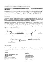 Preparazione del Nylon6,6 - Lauree Scientifiche