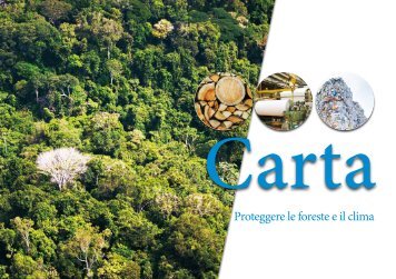 Carta – Proteggere le foreste e il clima