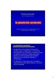 Lezione 6 - plasticita.pdf - Benvenuti al Laboratorio di Biochimica ...