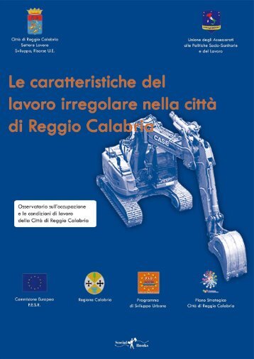 Le caratteristiche del lavoro irregolare nella città - Unione degli ...