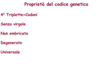 Proprietà del codice genetico - BGTG.it