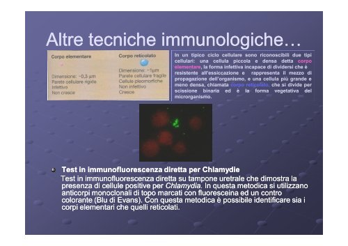 Tecniche immunologiche