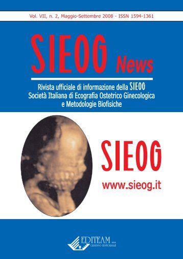 Sieog 2-2008