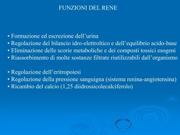 FUNZIONI DEL RENE • Formazione ed escrezione dell'urina ...