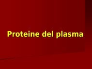 lezione proteine plasmatiche prof. bono 30/03/2011 - Aulett@'99