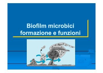 Biofilm microbici microbici formazione e funzioni