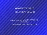 Il corpo umano PDF - Liceo Statale Aprosio