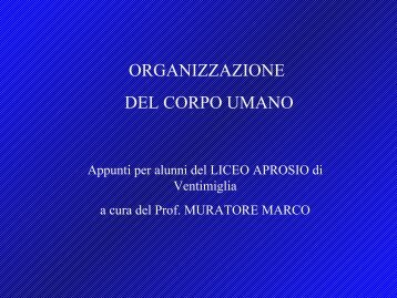 Il corpo umano PDF - Liceo Statale Aprosio