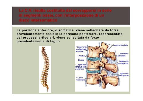 Sicurezza sul lavoro OSS - Studio Tecnico di Ingegneria - Marco ...