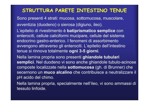 cellule - Fisiokinesiterapia.biz