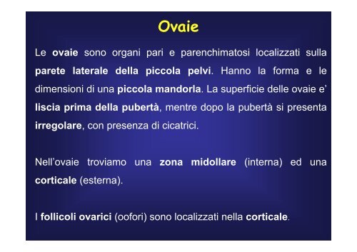 cellule - Fisiokinesiterapia.biz