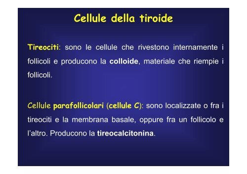 cellule - Fisiokinesiterapia.biz