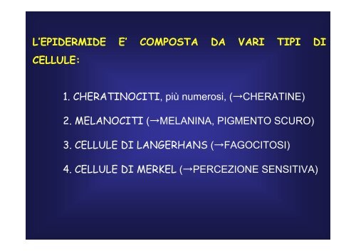 cellule - Fisiokinesiterapia.biz