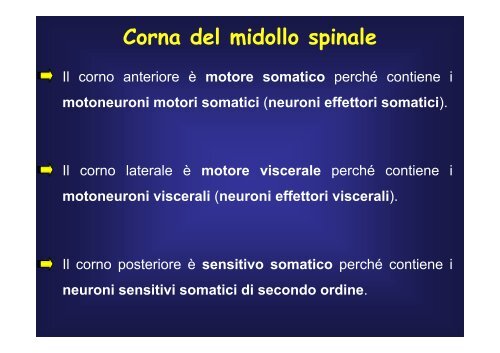 cellule - Fisiokinesiterapia.biz