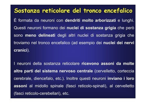 cellule - Fisiokinesiterapia.biz