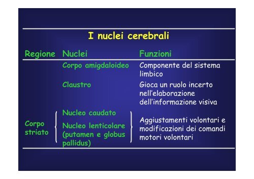 cellule - Fisiokinesiterapia.biz